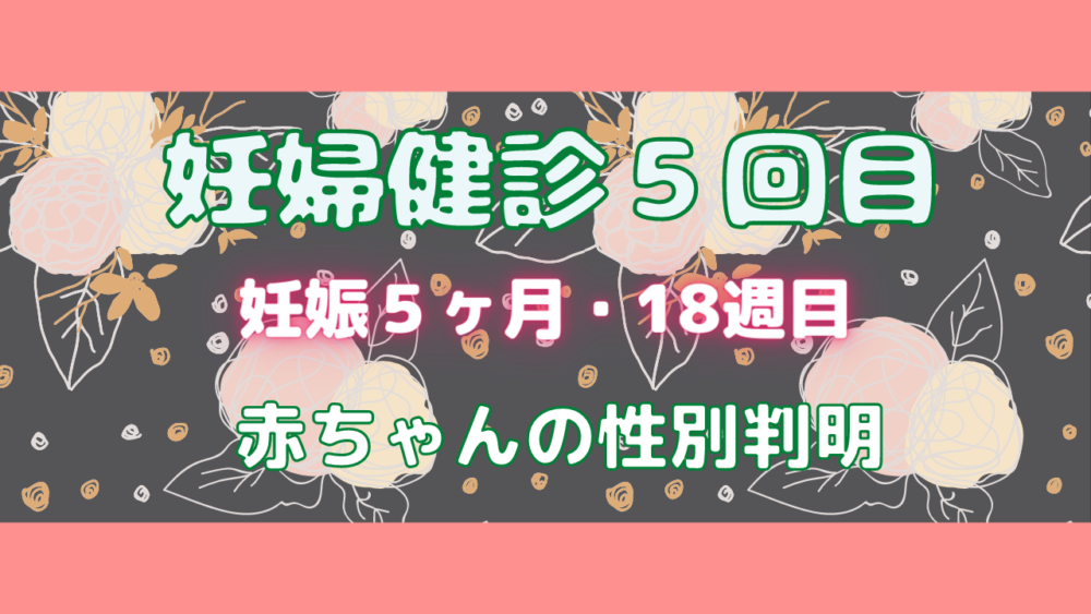 赤ちゃんの性別が判明 妊婦健診５回目 妊娠５ヶ月 18週目 せんろさんのお出かけブログ